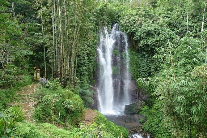 Private Munduk Waterfalls Trekking Tour - Kopi Luwak and the coffee plantation stop