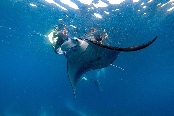 PRIVATE Nusa Penida on Boat Snorkeling & Island Tour (INCLUSIVE) - Key highlights before you commit