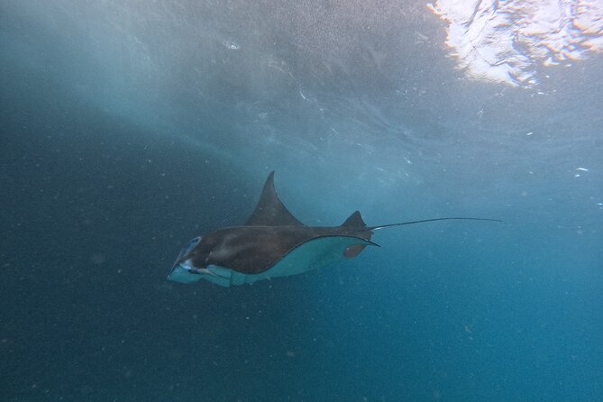 PRIVATE Nusa Penida on Boat Snorkeling & Island Tour (INCLUSIVE) - What you actually get for $135 per person (and what costs extra)