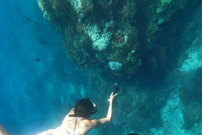 Private Nusa Penida Snorkeling Tour - Price and value: is $157.84 reasonable?