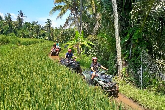 Private Quad Bike ATV with 2-hour Bali Massage and Spa - Key Highlights You’ll Actually Feel