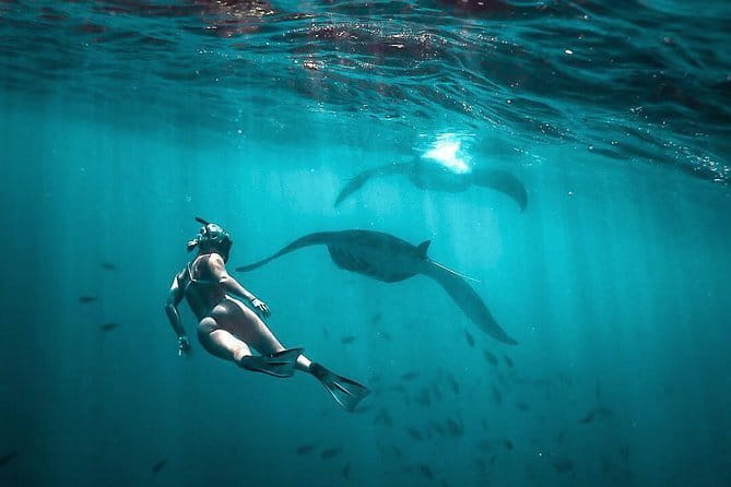 Private Sightseeing Northern East Bali All inclusive - Who This Tour Fits Best