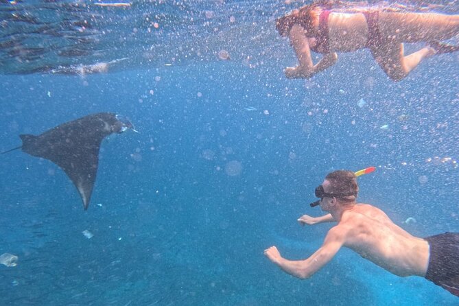 Private Snorkeling from Nusa Penida - Getting to Sanur Harbour early: the schedule that makes this work