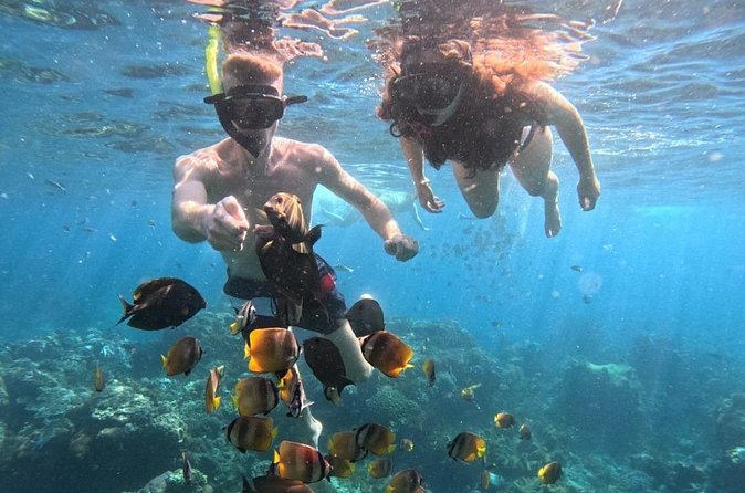 Private Snorkeling from Nusa Penida - Crystal Bay and Wall Point: clarity plus the underwater wall effect
