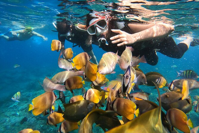 Private Snorkeling in Manta Bay, Gamat Bay & Wall at Nusa Penida - Private Boat + Instructor: What You Actually Get From the Guidance