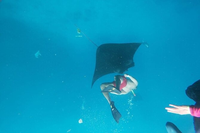 Private Snorkeling in Manta Bay, Gamat Bay & Wall at Nusa Penida - Weather Can Change the Plan, and That’s Part of the Deal