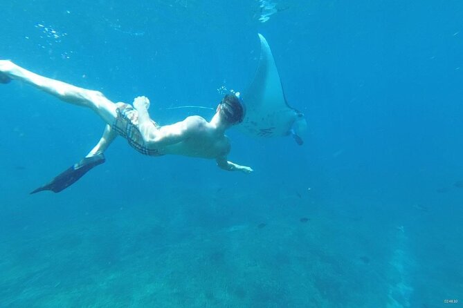 Private Snorkeling in Manta Bay, Gamat Bay & Wall at Nusa Penida - Lunch at the Harbor: The Reset You’ll Appreciate After 3 Snorkel Segments