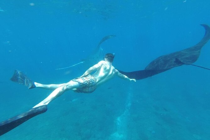 Private Snorkeling in Manta Bay, Gamat Bay & Wall at Nusa Penida - Price and Value: Why $115 Can Make Sense Here