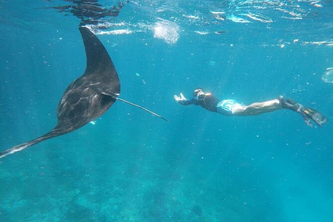 Private Snorkeling in Manta Bay, Gamat Bay & Wall at Nusa Penida - What to Bring for a Smoother Snorkeling Day