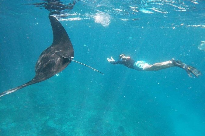 Private Snorkeling in Manta Bay, Gamat Bay & Wall at Nusa Penida - Who This Private Snorkeling Plan Is Best For