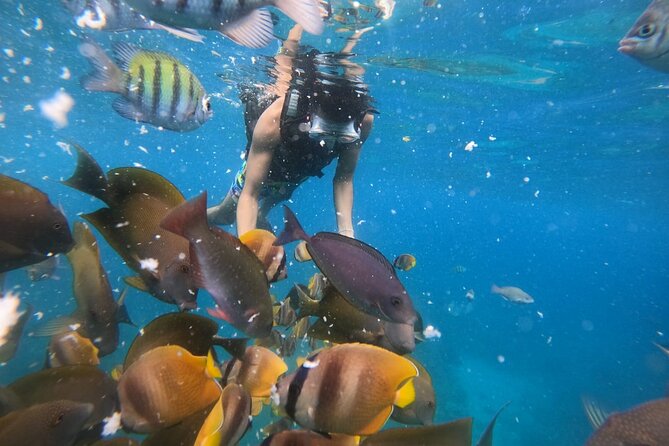 Private Snorkeling in Manta Bay, Gamat Bay & Wall at Nusa Penida - Gamat Bay and Crystal Bay (Plus Wall Point as a Backup Path)