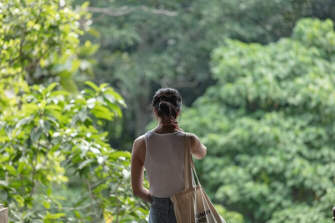 Private Tour : Bali Best Waterfalls, Temples and Monkey Forest - Tukad Cepung Waterfall Inside the Cave: Sunlight Clues and Wet Stone