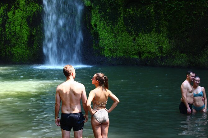Private Tour : Bali Best Waterfalls, Temples and Monkey Forest - Sangeh Monkey Forest: A Sanctuary Story, Not Just a Photo Stop