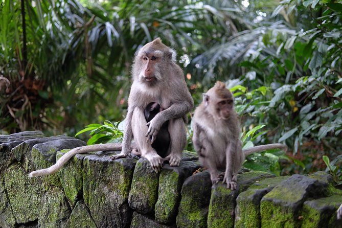 Private Tour: Bali in a Day - Your day at a glance: the order that makes sense