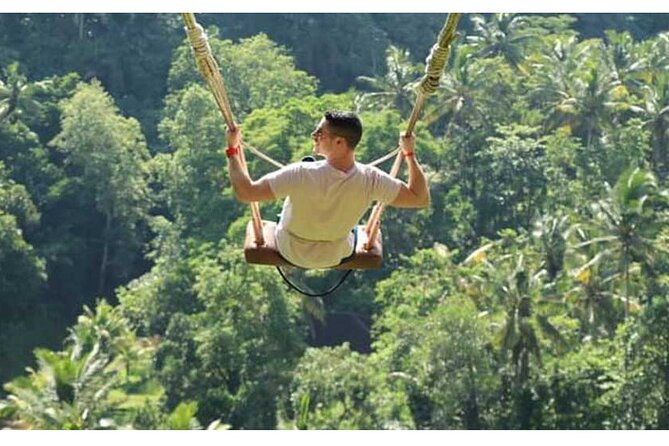 Private Tour Bali Swing & Visiting Temples in Bali - Stop 1: Hideaway Swing Over the Ayung River Area