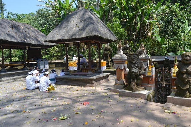 Private Tour: Bali Temple and Countryside Tour - Stop at Bali Butterfly Park: Research, Breeding, and a Winding Walk