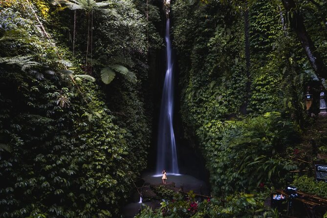 Private Tour: Bali Temples, Hidden Waterfall and Handara Gate - Taman Ayun Temple: the “beautiful garden” temple compound
