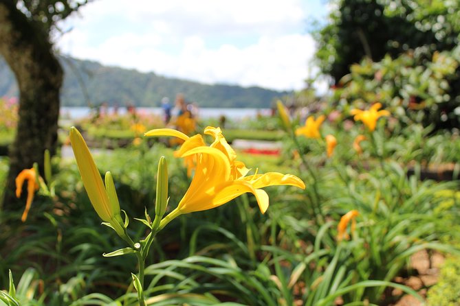 Private Tour: Bali Temples, Hidden Waterfall and Handara Gate - Bedugul break: recharge time with lunch on your own