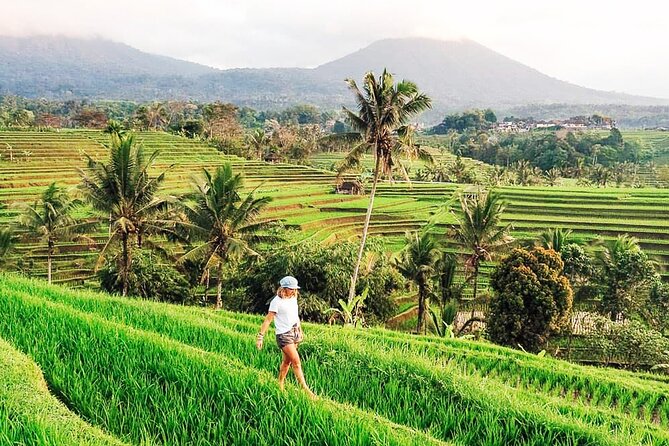 Private Tour: Bali UNESCO World Heritage Sites - Jatiluwih Rice Terraces: Walking the Subak-Style Scene