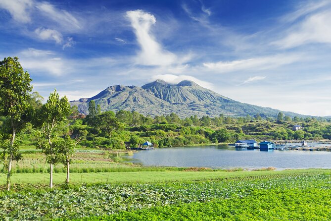 Private Tour: Bali Volcano with Jungle Swing Experience - Tegalalang Rice Terrace: seeing rice farming up close, not just from a postcard