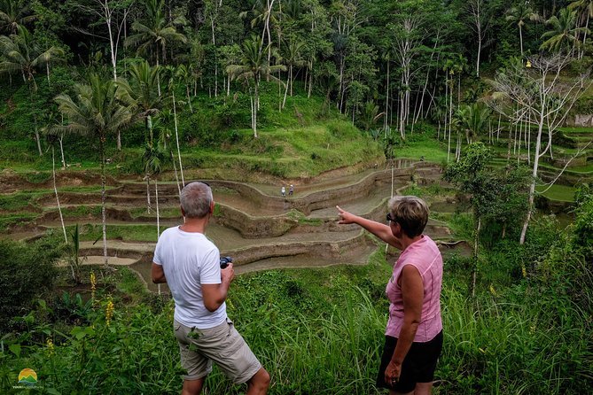 Private Tour: Balinese Culture and Scenery (visit ubud area) - Mount Batur: the quick volcano viewpoint that sets the tone