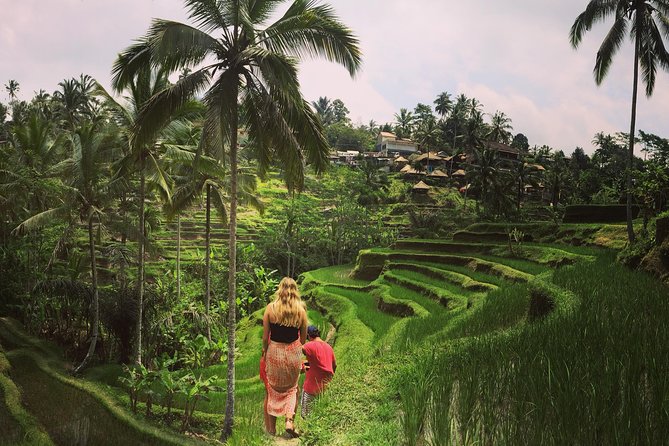 Private Tour: Balinese Culture and Scenery (visit ubud area) - Price and value: how $65 can work (if you plan for extras)