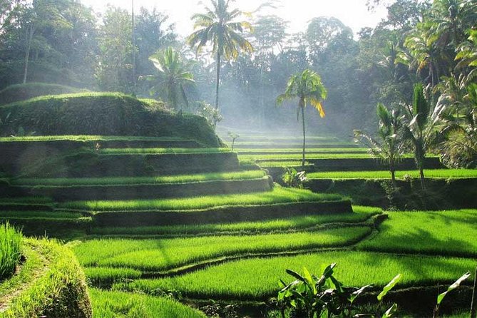 Private Tour: Batuan Temple, Tegenungan Waterfall, Elepahant Cave Free transport - Who This Tour Fits Best (and Who Might Prefer Something Slower)