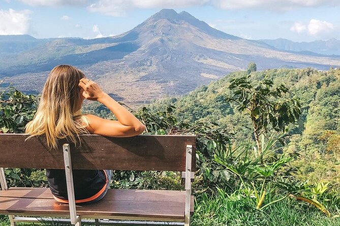 Private Tour: Best of Bali - All Inclusive Tickets - Coffee plantation stop: a real break from temples and stairs