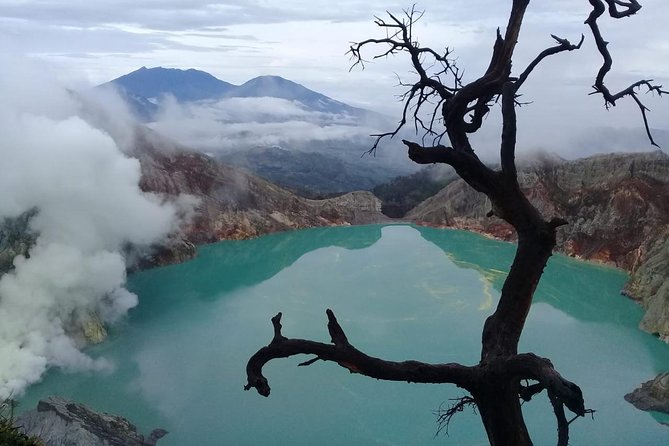 Private Tour : Bromo Ijen Tour From Bali - Key things to know before you book