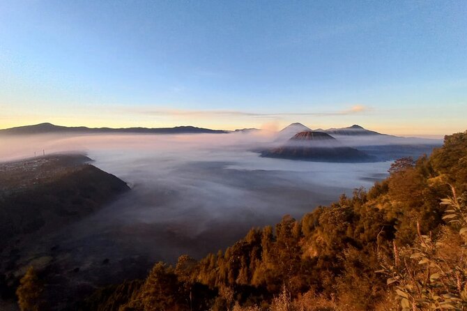 Private Tour : Bromo Ijen Tour From Bali - Price and value: is $285.72 per person actually fair?