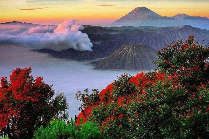 Private Tour : Bromo Ijen Tour From Bali - Day 1: Gilimanuk crossing and settling into the volcano game plan