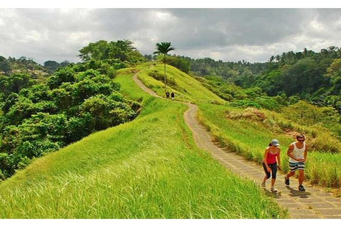 Private Tour: Campuhan Ridge Walk, Ubud Rice Terrace & Ubud Palace - Key highlights you’ll feel right away