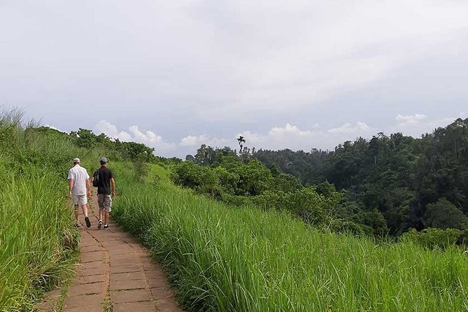 Private Tour: Campuhan Ridge Walk, Ubud Rice Terrace & Ubud Palace - Campuhan Ridge Walk: morning calm on a valley footpath