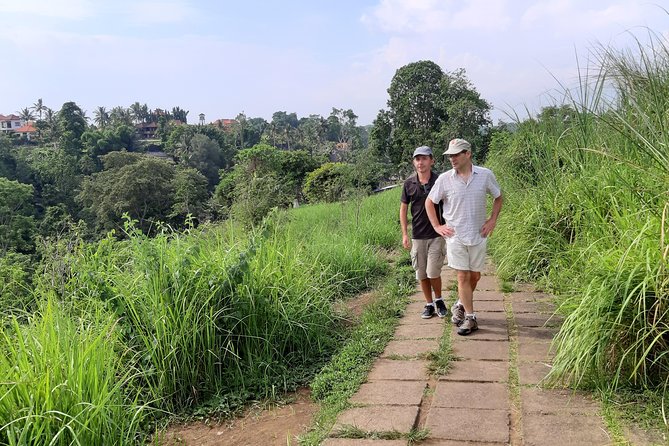 Private Tour: Campuhan Ridge Walk, Ubud Rice Terrace & Ubud Palace - Who this Ubud loop fits best