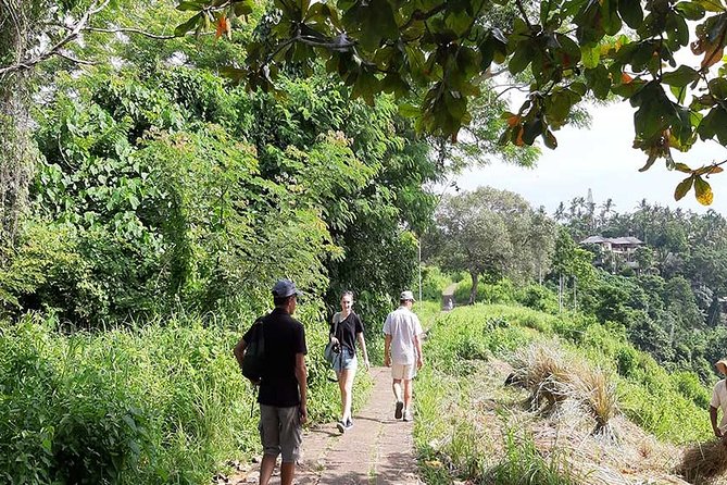 Private Tour: Campuhan Ridge Walk, Ubud Rice Terrace & Ubud Palace - Should you book this private Ubud tour?
