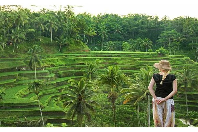 Private Tour: Campuhan Ridge Walk, Ubud Rice Terrace & Ubud Palace - FAQ