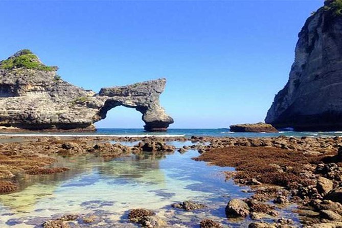 Private tour : East of Nusa Penida Day Tour All-inclusive - What the Included Lunch and Driver Actually Get You