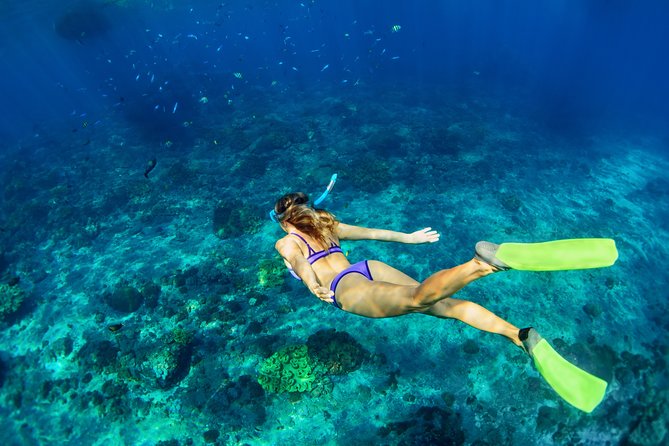 Private Tour: Heaven Gate Temple, Tirta Gangga and Blue Lagoon Snorkeling - Stop 2: Tirta Gangga Water Palace for Easy Walking and Great Photos