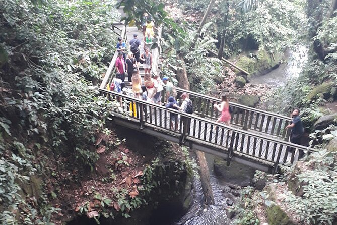 Private tour in Ubud country side - Happy Swing Bali in Tegalalang: Optional, Adrenaline-Forward, Instagram-Ready