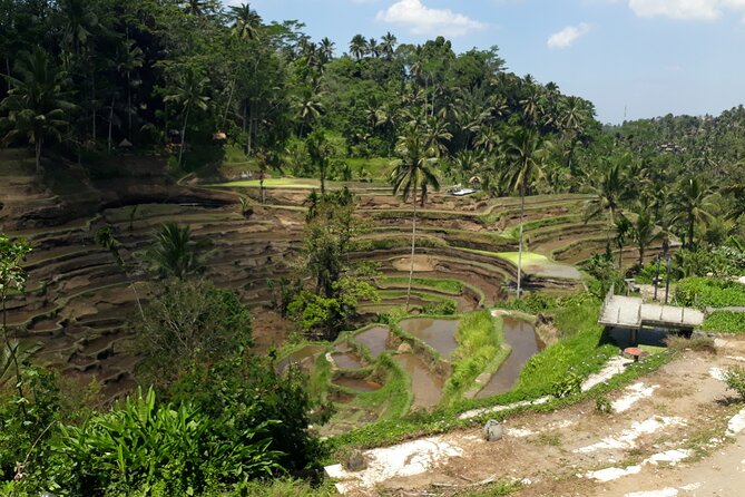 Private tour in Ubud country side - What You Really Get: Private, Air-Conditioned, English-Speaking