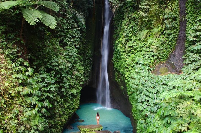 Private Tour: Leke-Leke Waterfall, Handara gate & Iconic Temples - Key highlights to know before you go