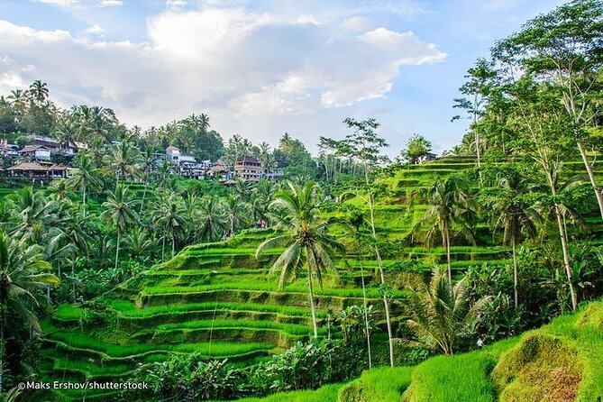 Private Tour : Mt. Batur View, Rice Terrace, Waterfall & More. - Sahadewa Barong Dance & Fire Dance: Myth in Motion