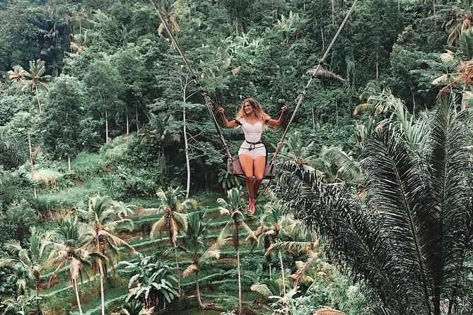 Private Tour to Sumampan Waterfall, Monkey forest, Rice terraces and Swing - Price and Tickets: What $57 Buys You