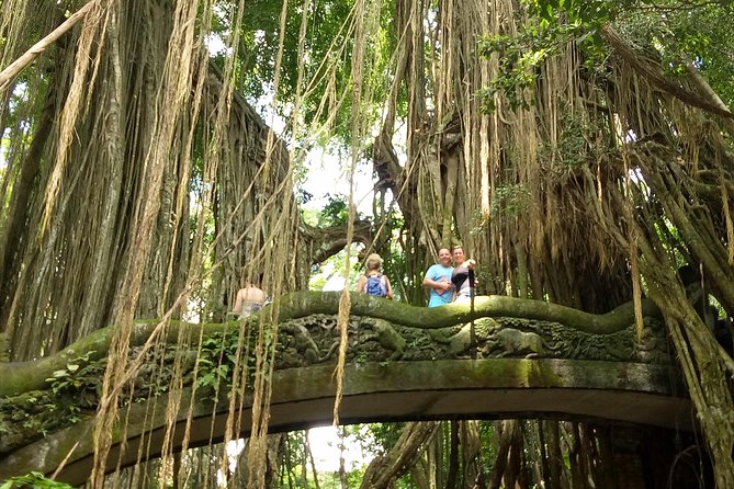 Private Tour to Sumampan Waterfall, Monkey forest, Rice terraces and Swing - Pickup Timing and the Reality of an 8–10 Hour Day