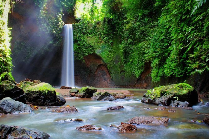 Private Tour To Tibumana Waterfall, rice terraces & Jungle Swing - Puseh Batuan Temple: Bali Carving and Stonework as Your First Stop