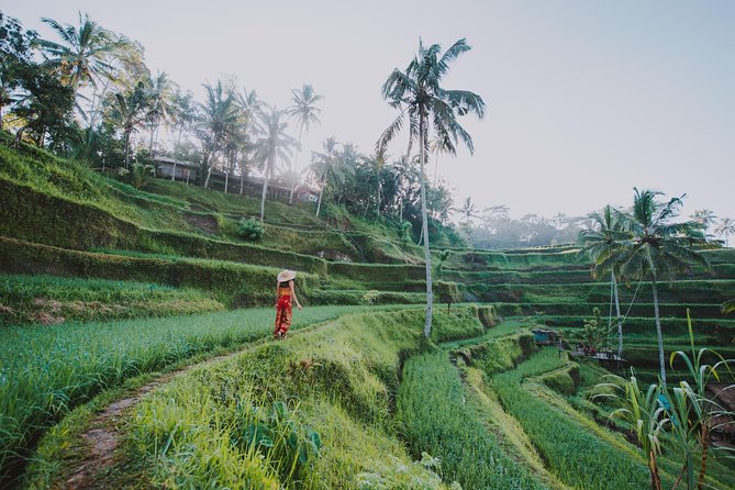 Private Tour: Ubud Highlights - FAQ