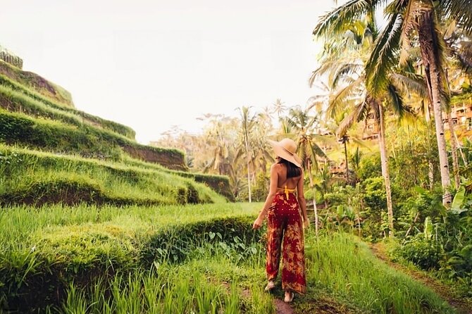 Private Tour Ubud: Swing at Rice Field with Temple and Waterfall - Aloha Ubud Swing: big views, one important ticket note