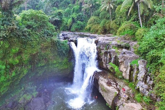 Private Ubud and Volcano Day Trip - A Private Ubud-to-Kintamani Day Without the Car Hassle