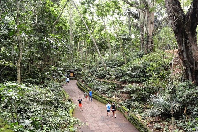 Private Ubud Day Tour - A Ubud highlights day that stays practical (and not stressful)