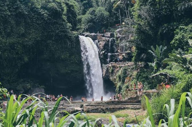 Private Ubud Day Tour - Tegenungan Waterfall: how to make the swim part actually fun